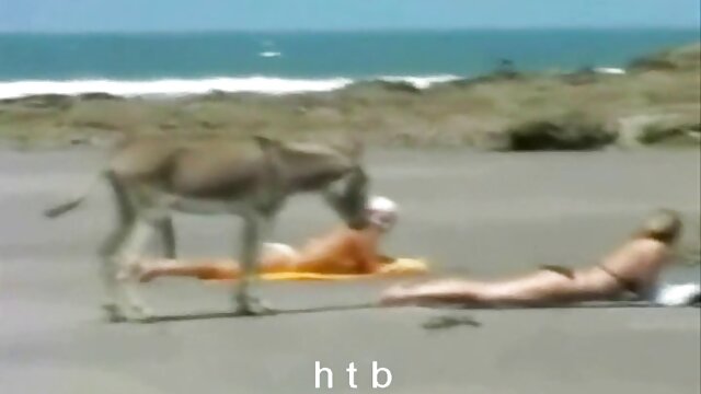Неверојатни :   Бесплатни видео клипови 